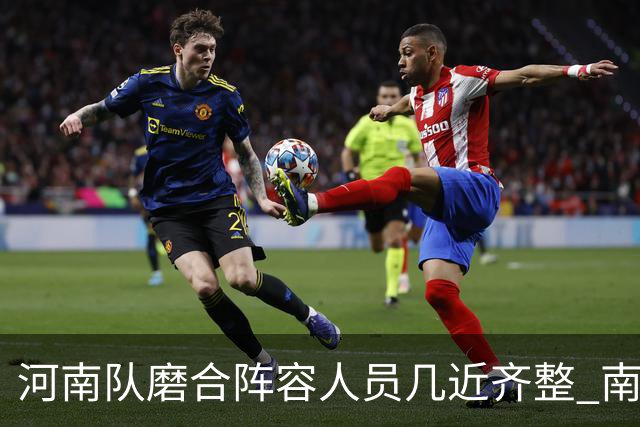 河南队磨合阵容人员几近齐整 南基一剑指中超前六